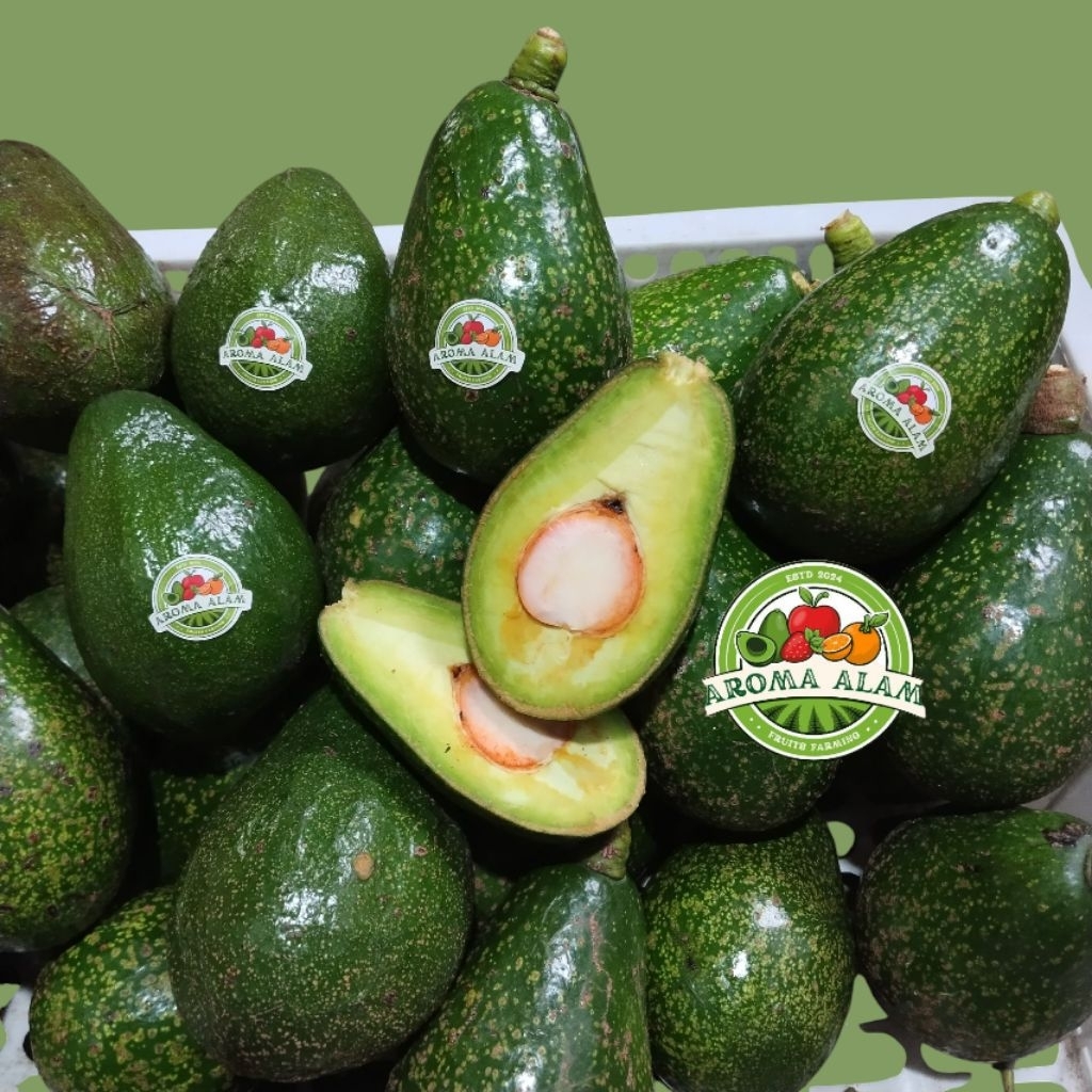 

alpukat mantega lokal 1kg isi 5-6 (100% Bergaransi)