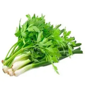 

Daun Bawang+ Seledri - 100 Gram