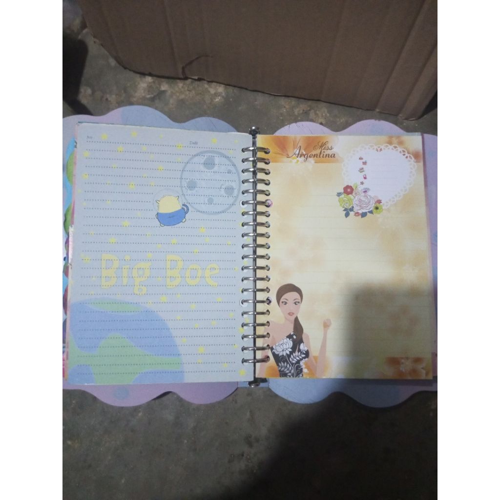 

(Preloved Binder) All in Binder Koleksi pribadi binder dan isi Koleksi jadul /Binder A5 PAKET 17