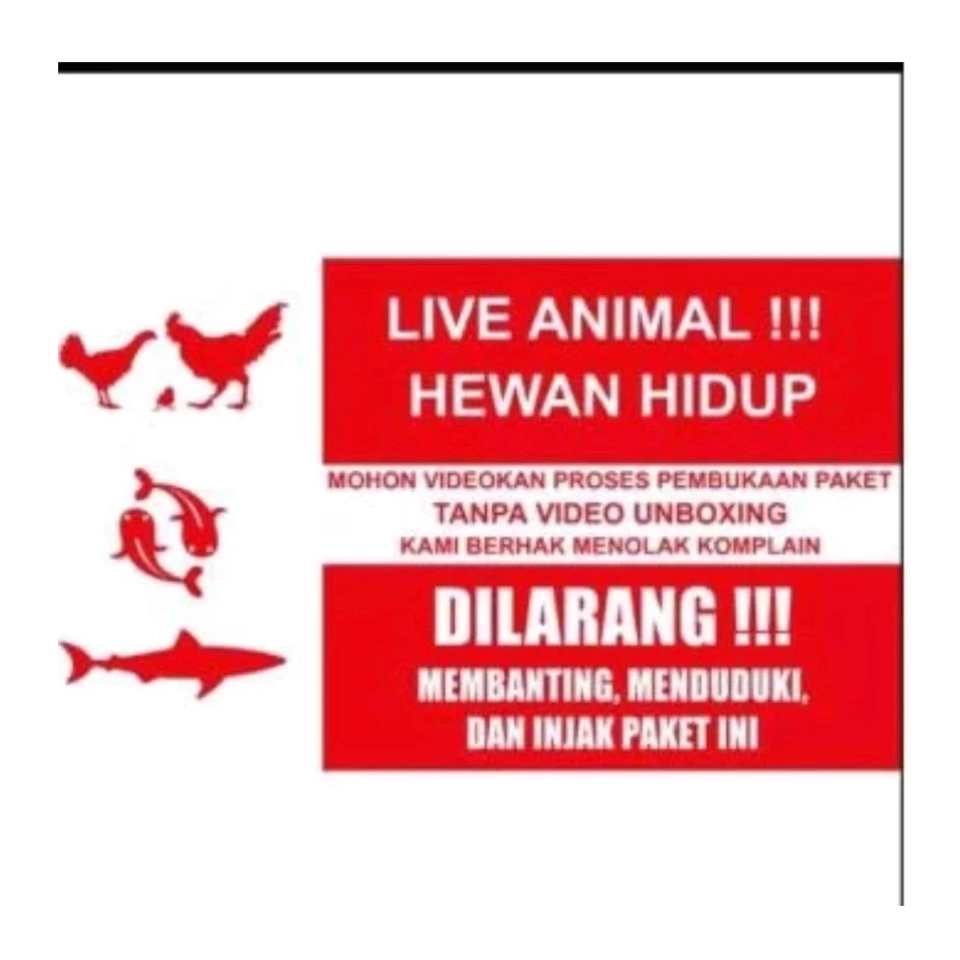 

STIKER LIVE ANIMAL UK 7.5 X 12.5 CM HEWAN HIDUP FRAGILE UNBOXING URGENT DELIVERY FW
