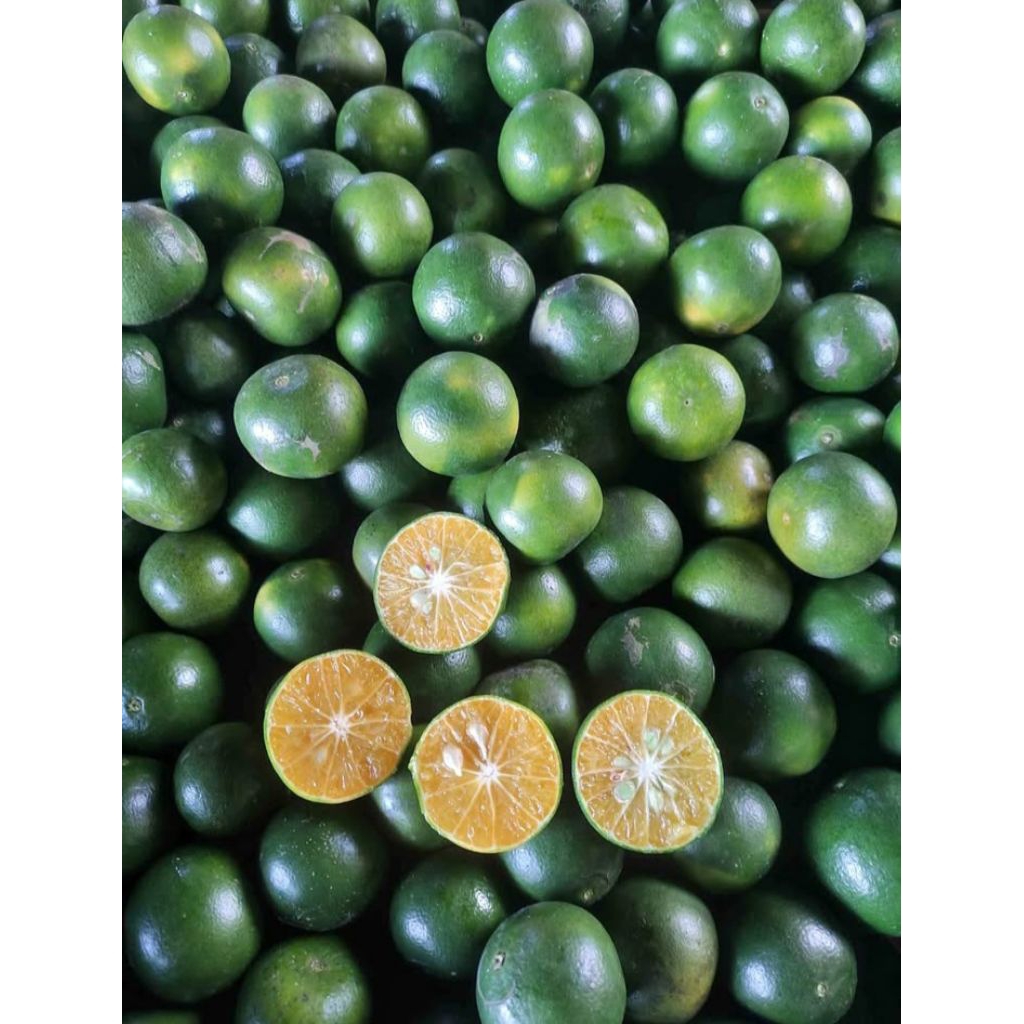 

jeruk peras buat es 1kg