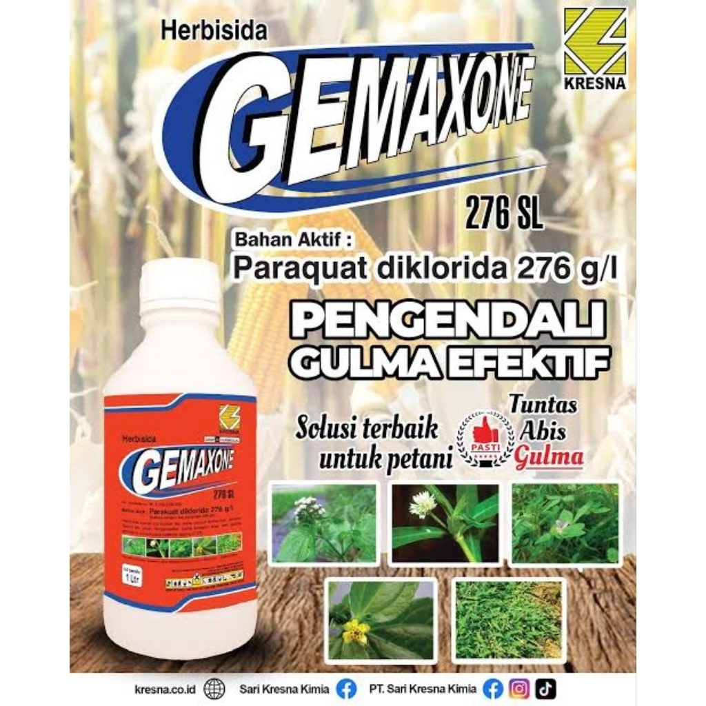Herbisida Kontak Gemaxone 276 SL