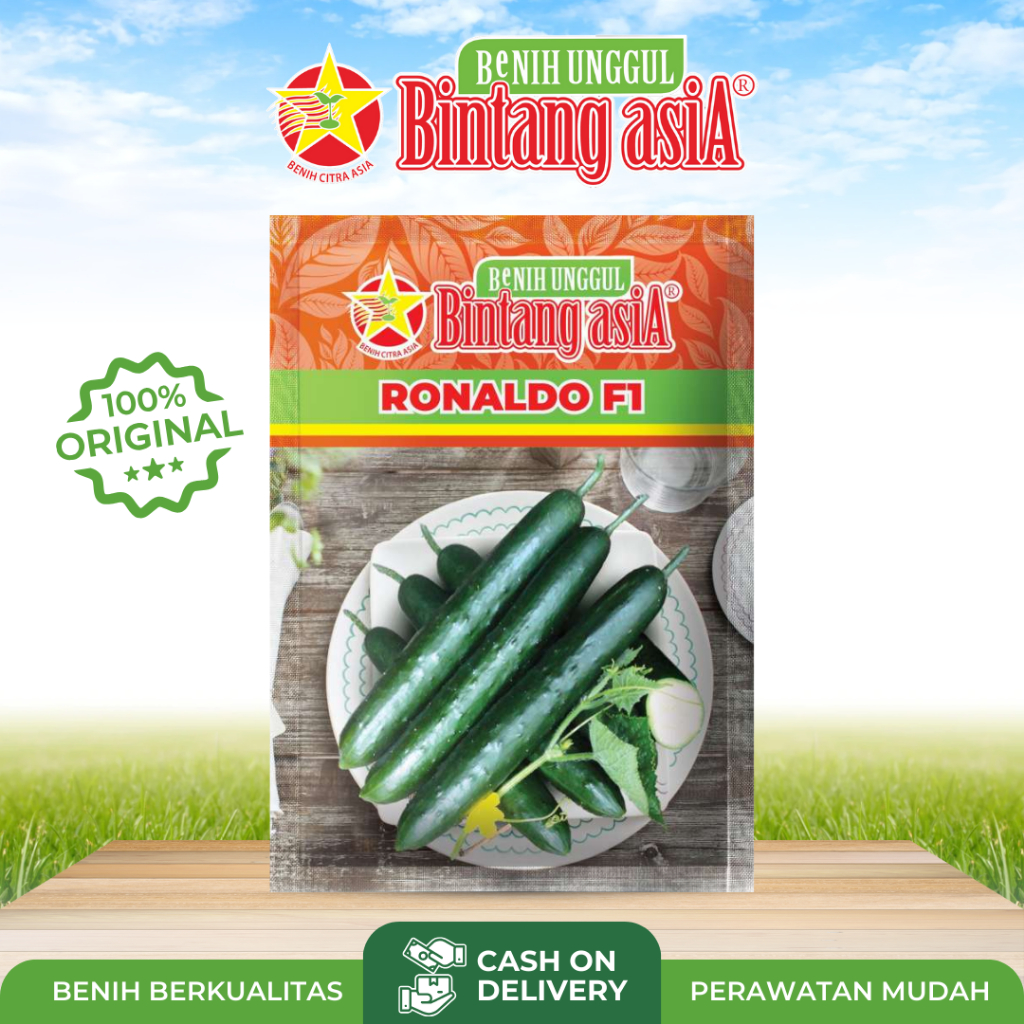 Benih Mentimun jepang Bintang asia Ronaldo kemasan 20gr
