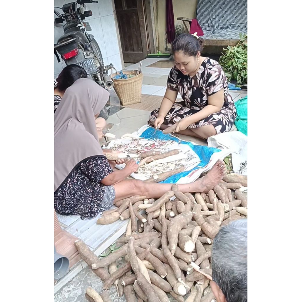 

Gaplek /ubi kering ,Singkong enak,manis,legit asli nganjuk 1kg