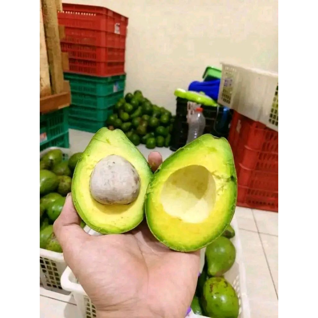 

alpuket mentega 1.kg isi 5678