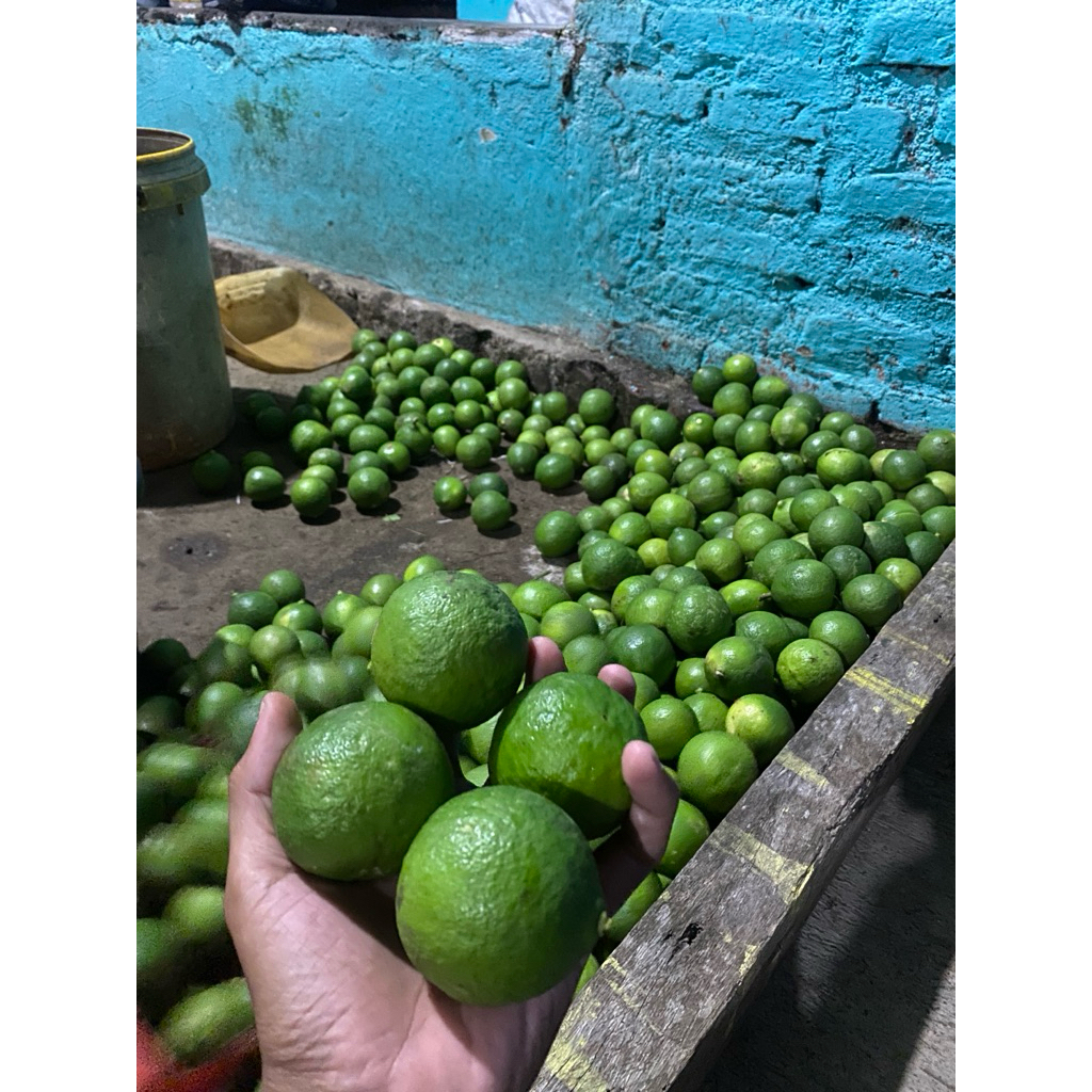 

jeruk nipis segar 250 gr