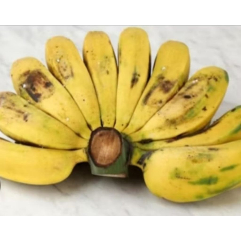 

pisang kepok matang dan mentah 1 epek/sisir