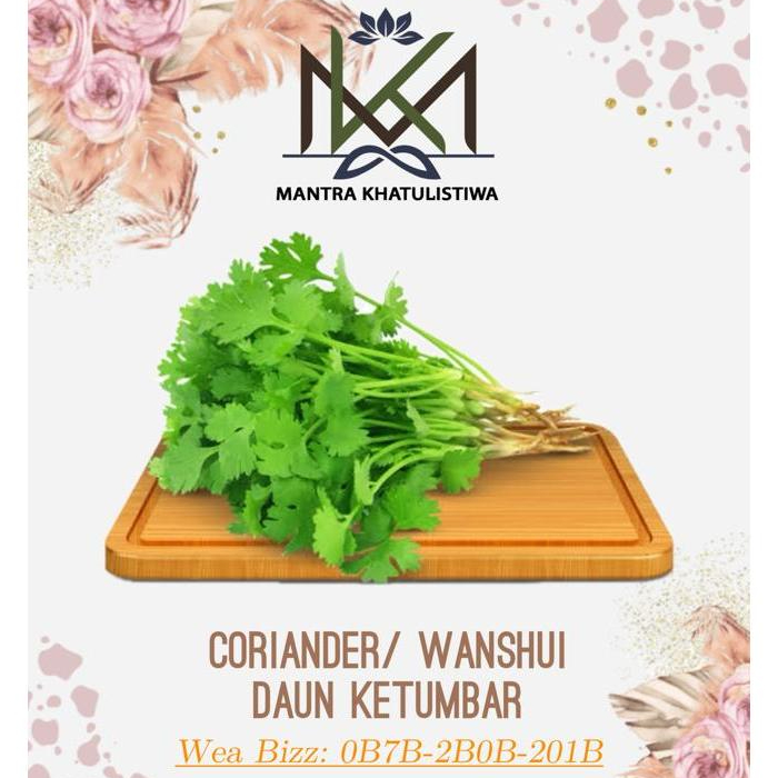 

CORIANDER WANSHUI DAUN KETUMBAR