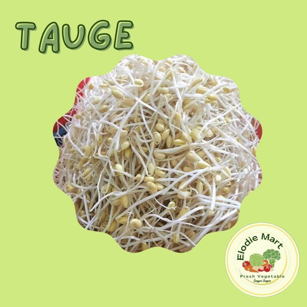 

Tauge/Toge/Cambah/Kecambah 100g Fresh Instant Semarang