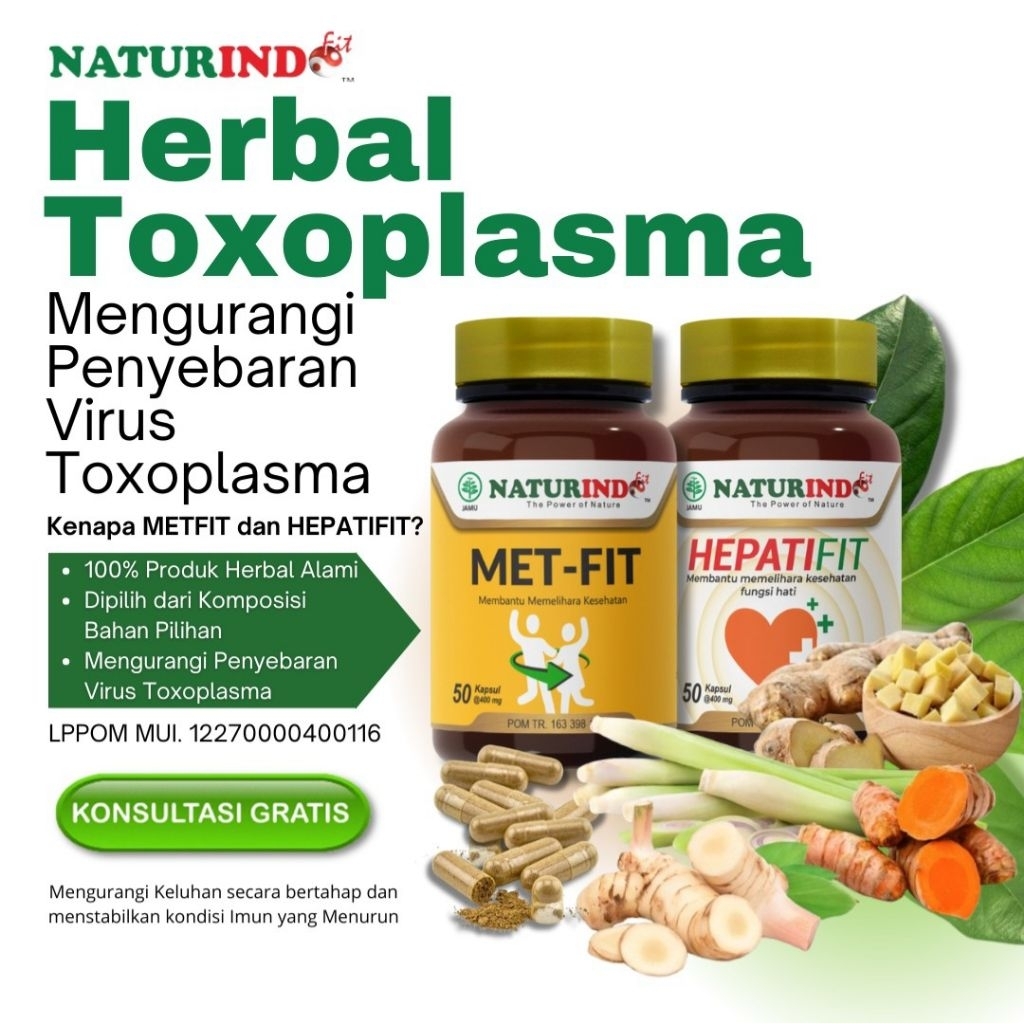 Obat Toxoplasma Paling Ampuh Mengatasi Virus Toxo
