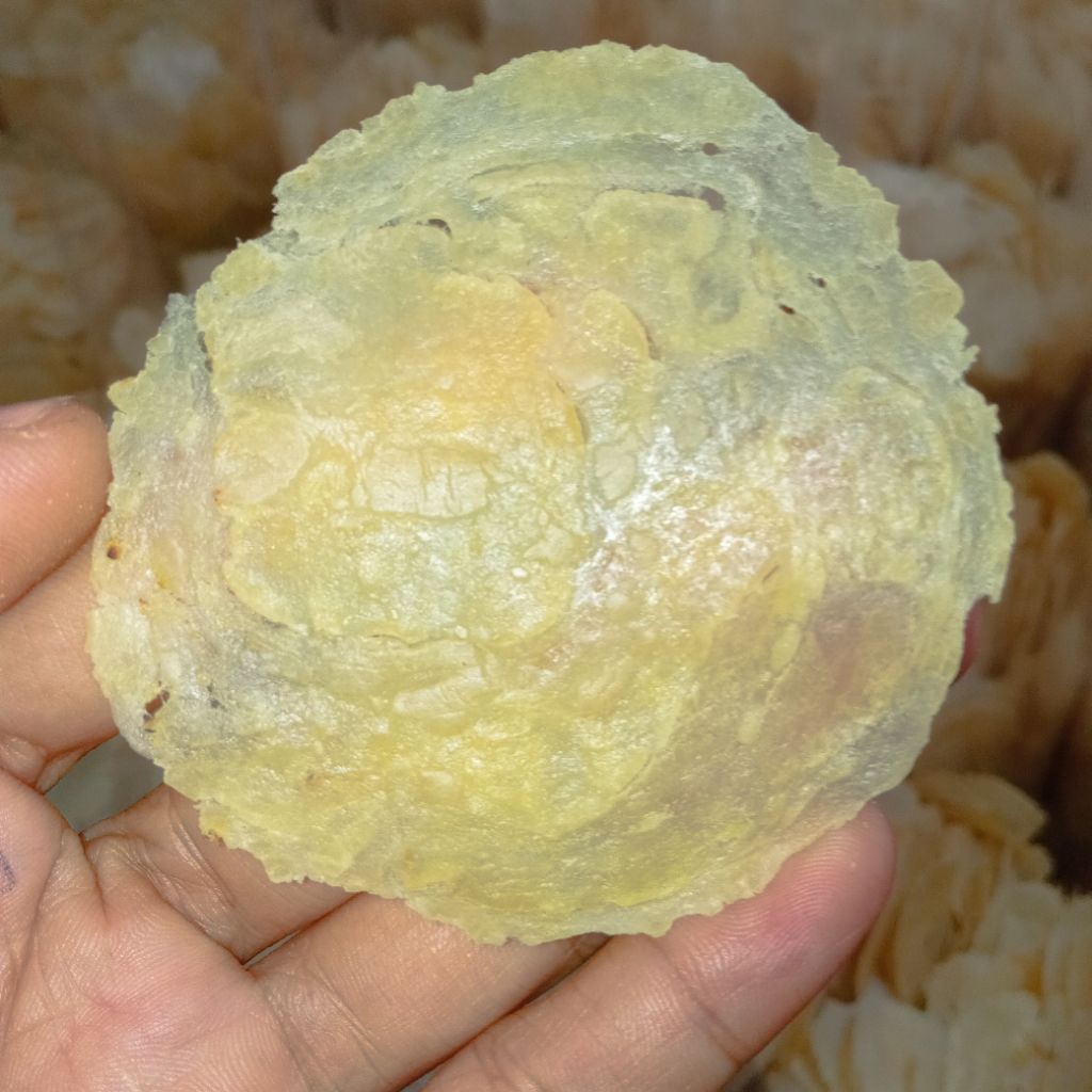 

(1KG SUPER) EMPING UKURAN SEDANG SIAP GORENG