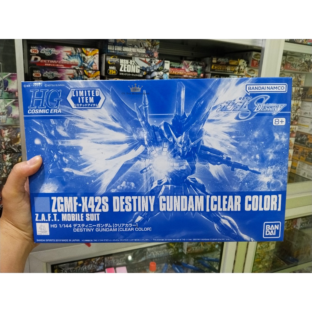 HG CE DESTINY GUNDAM ( CLEAN COLOR )