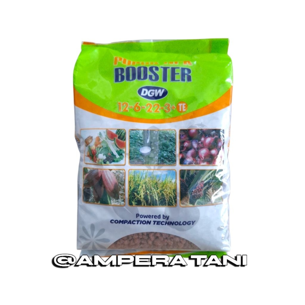 PUPUK NPK BOSTER DGW 12-6-22-3+TE 1 KG