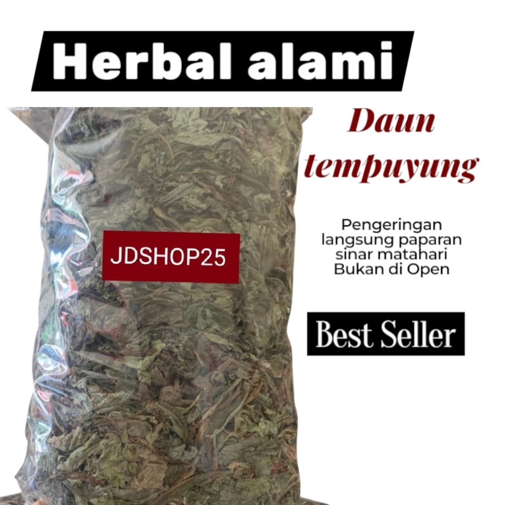

Daun tempuyung kering herbal murni alami tanpa campuran
