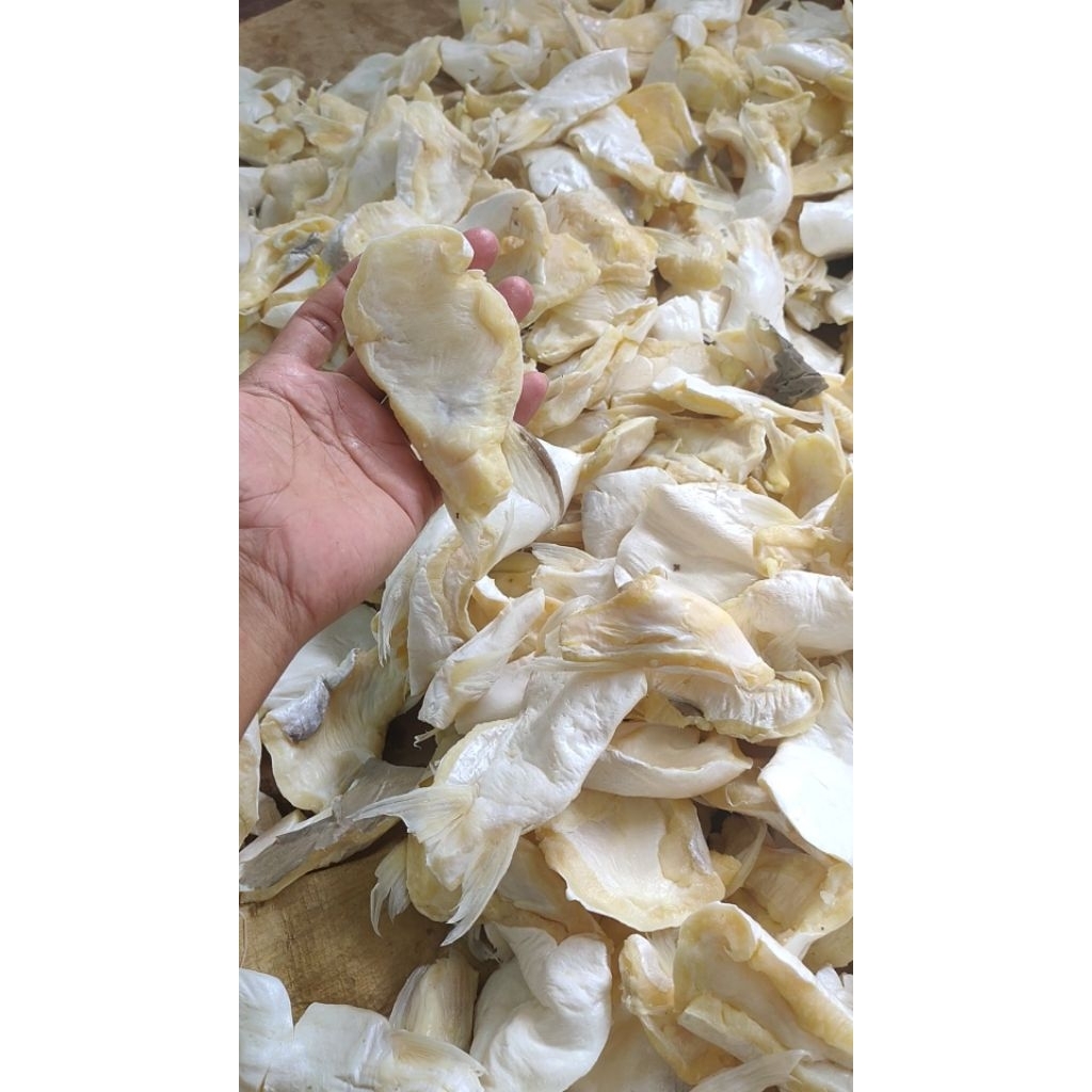 

Ikan asin patin/patin segar premium