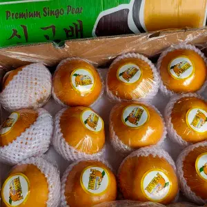 

Pear singo(pear korea)