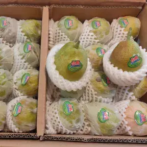 

pear xiangli manis/pear sultan