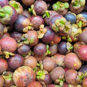 

manggis manis segar 1kg