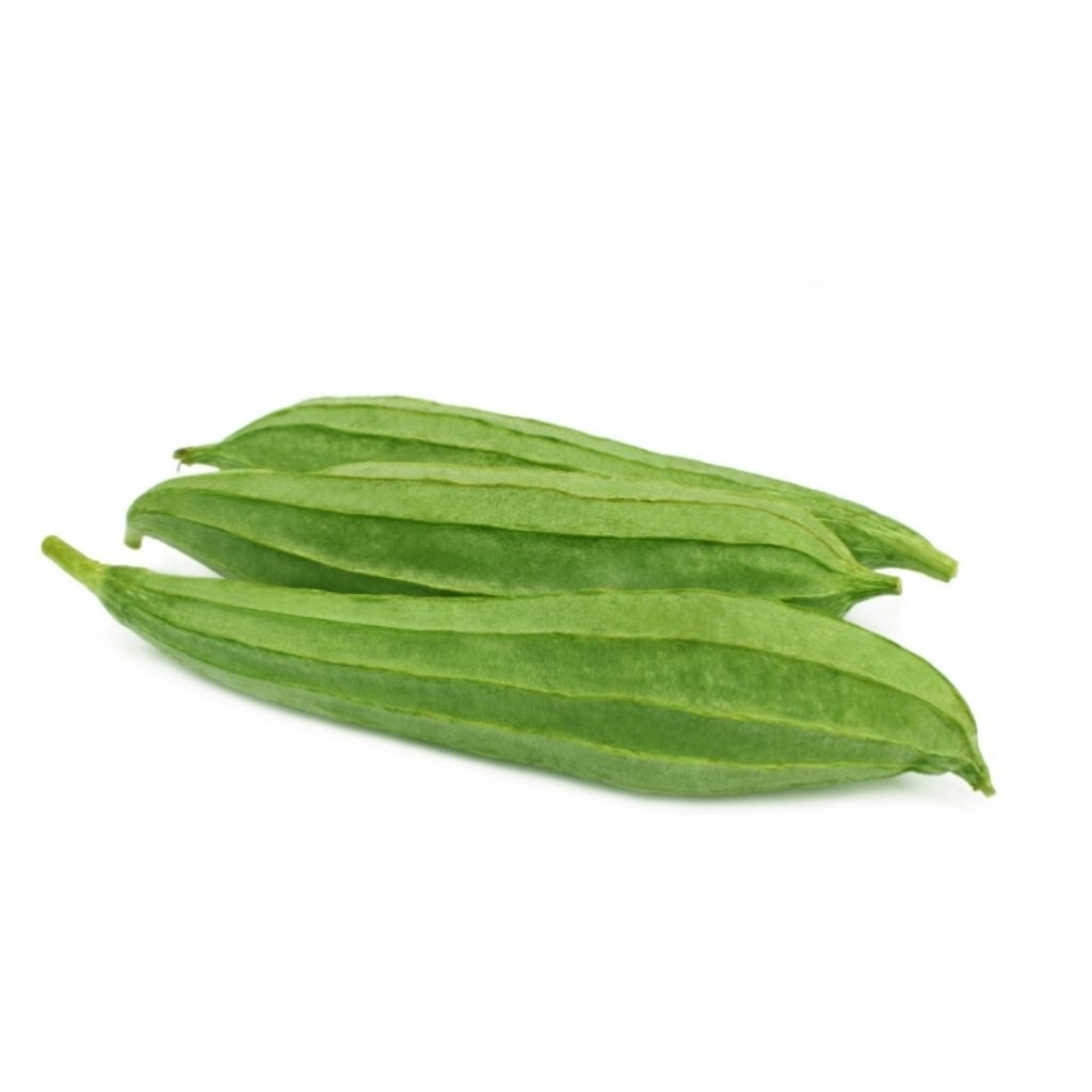 

Gambas Oyong murah segar 500gr