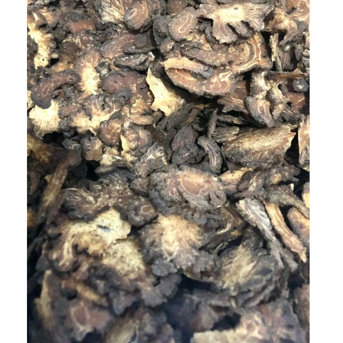 

cuan kiong fresh original 1kg grosir herbal
