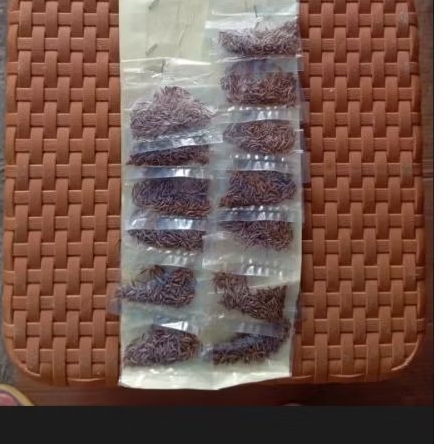 

Bumbu Jintan Hitam 3/Bks