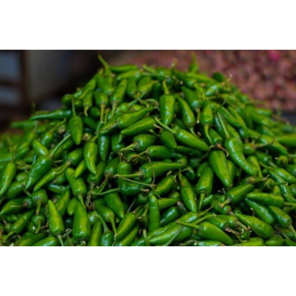 

Cabe Rawit Ijo Cabai Rawit Hijau 250 g