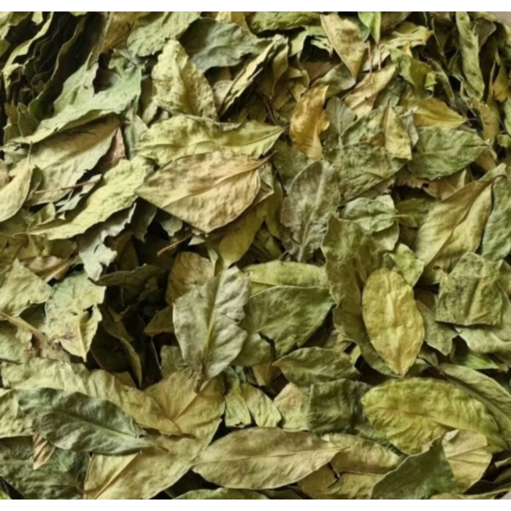 

Daun Salam Kering Cocok Untuk Bumbu Masakan Khas Nusantara Netto 100gram Original