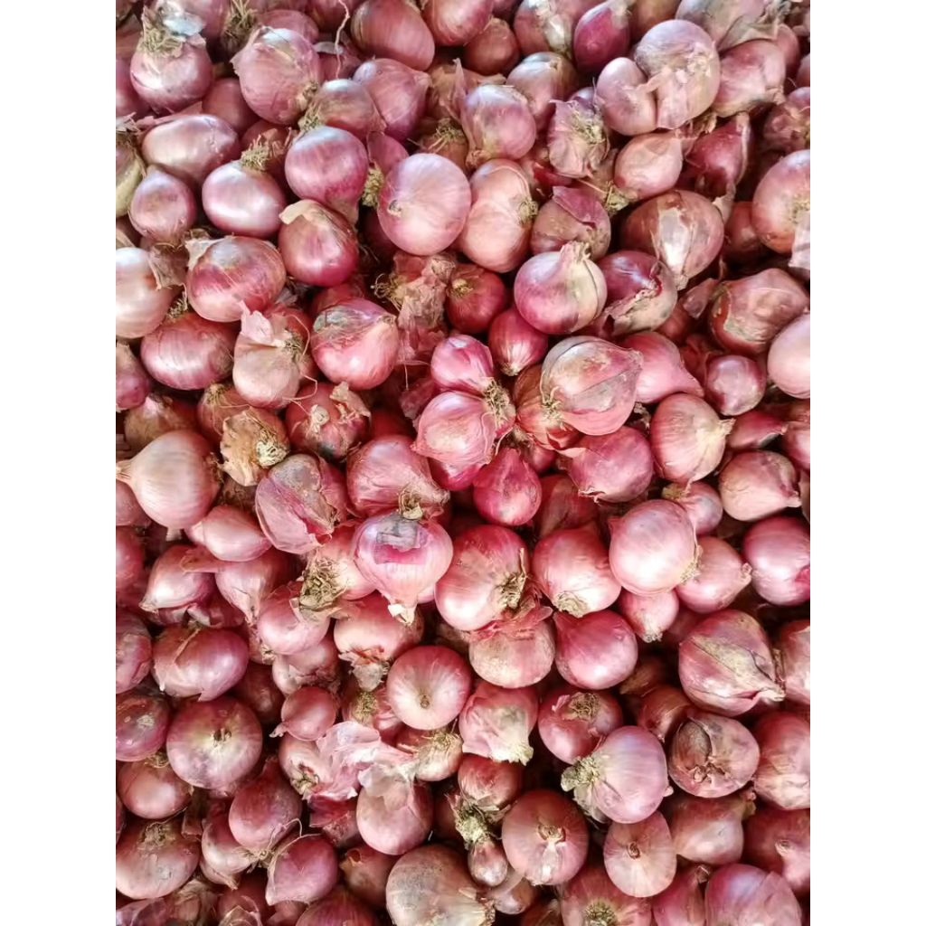 

bawang merah 250 gram