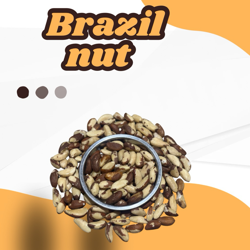 

Brazil nut