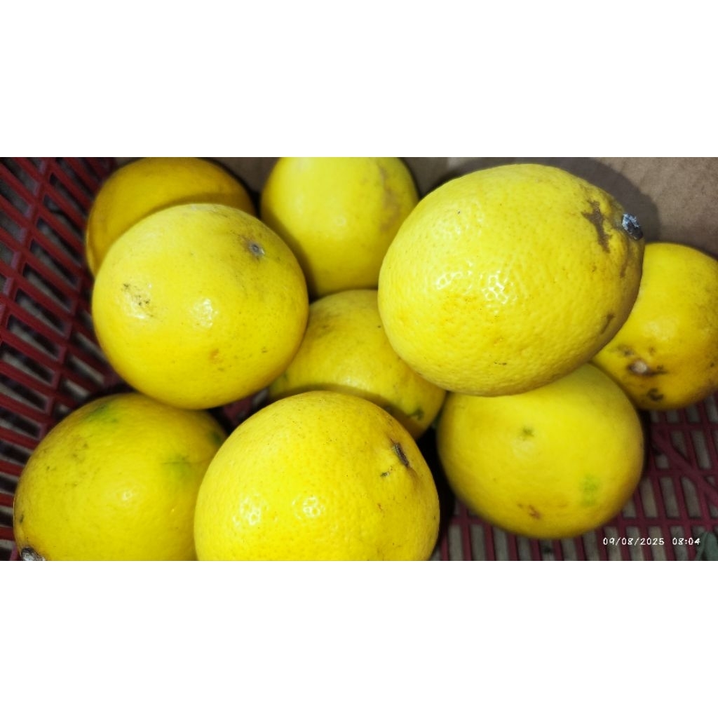 

LEMON 500GR