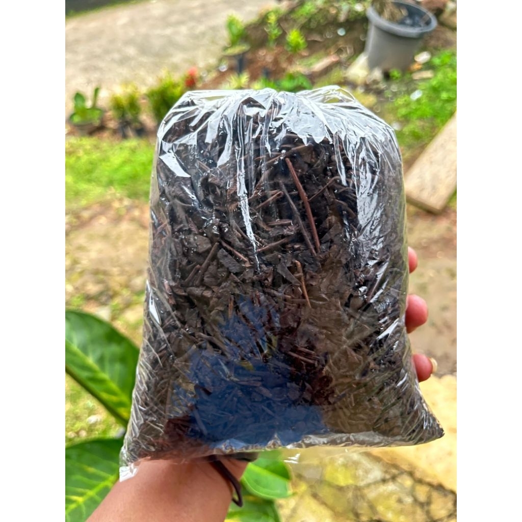 

KEBUN RAYA- Teh Seduh Hitam Asli Kemuning (500gm)