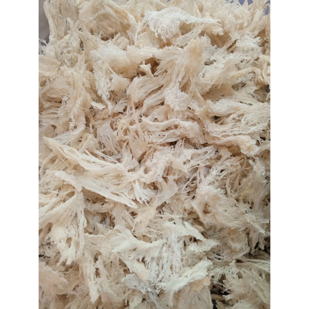 

Sarang Walet Kakian bersih siap konsumsi