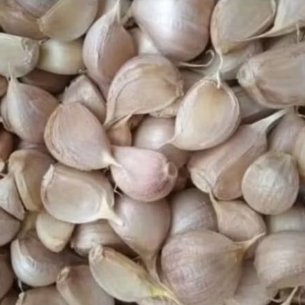 

bawang putih super bawang putih kating 75gr
