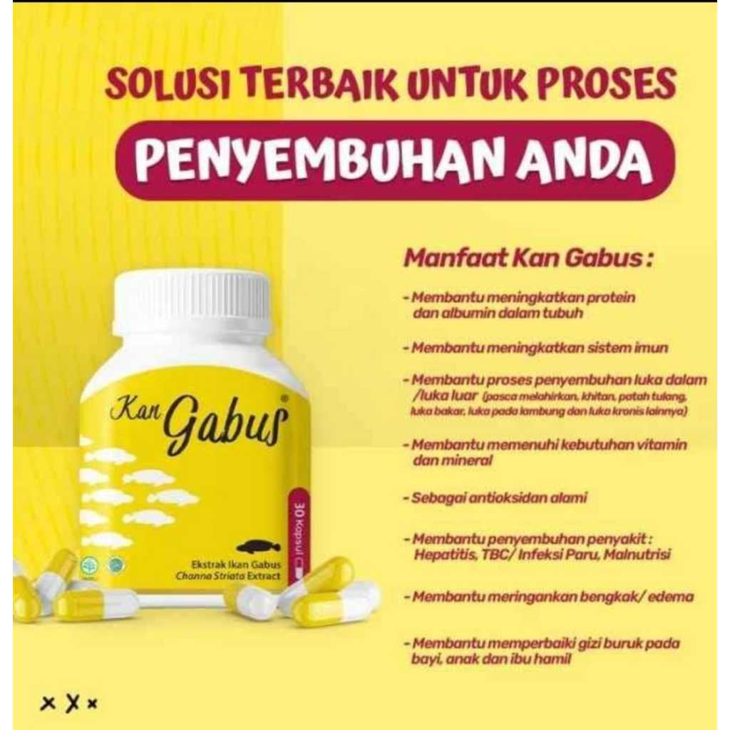 EKSTRAK IKAN GABUS 30 KAPSUL TERBAIK  CHANNA STRIATA EXTRACT