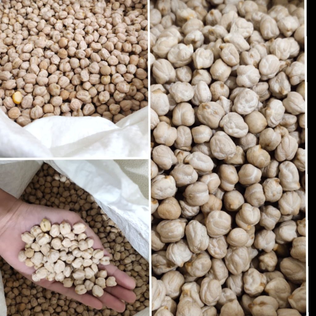 

Kacang Chickpea 1kg Kacang Chana Dal Kebuli Chana Garbazo Kacang Arab Mentah