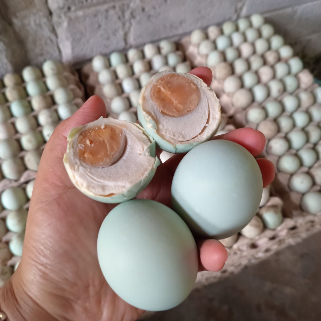 

Telur Asin Matang Masir Enak Bergizi Ukuran Besar AB isi 4 butir