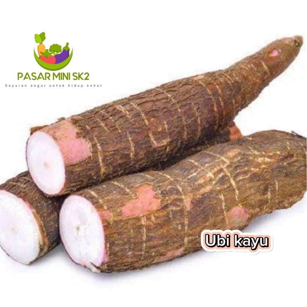 

ubi kayu mempor 1kg