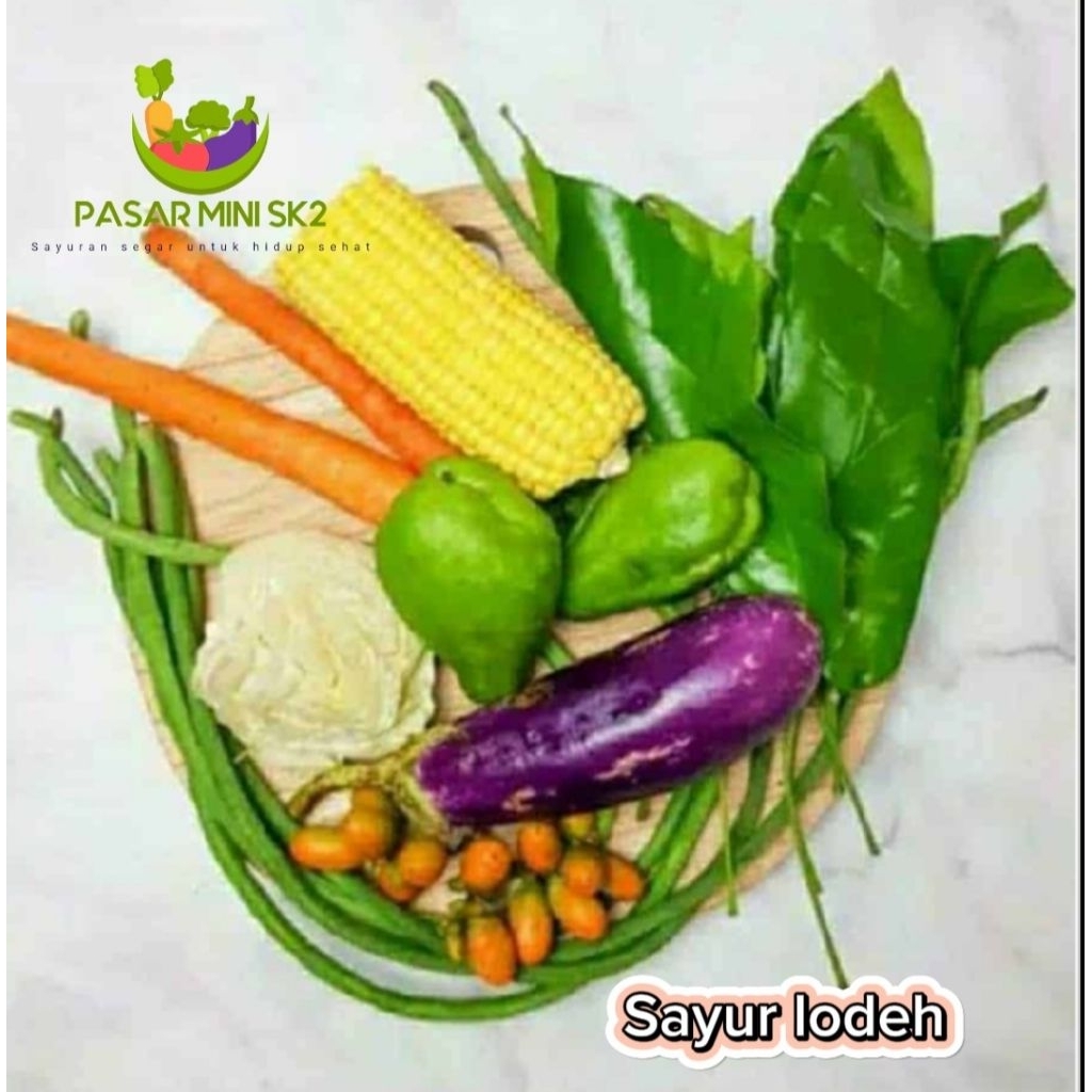 

paket sayur lodeh komplit