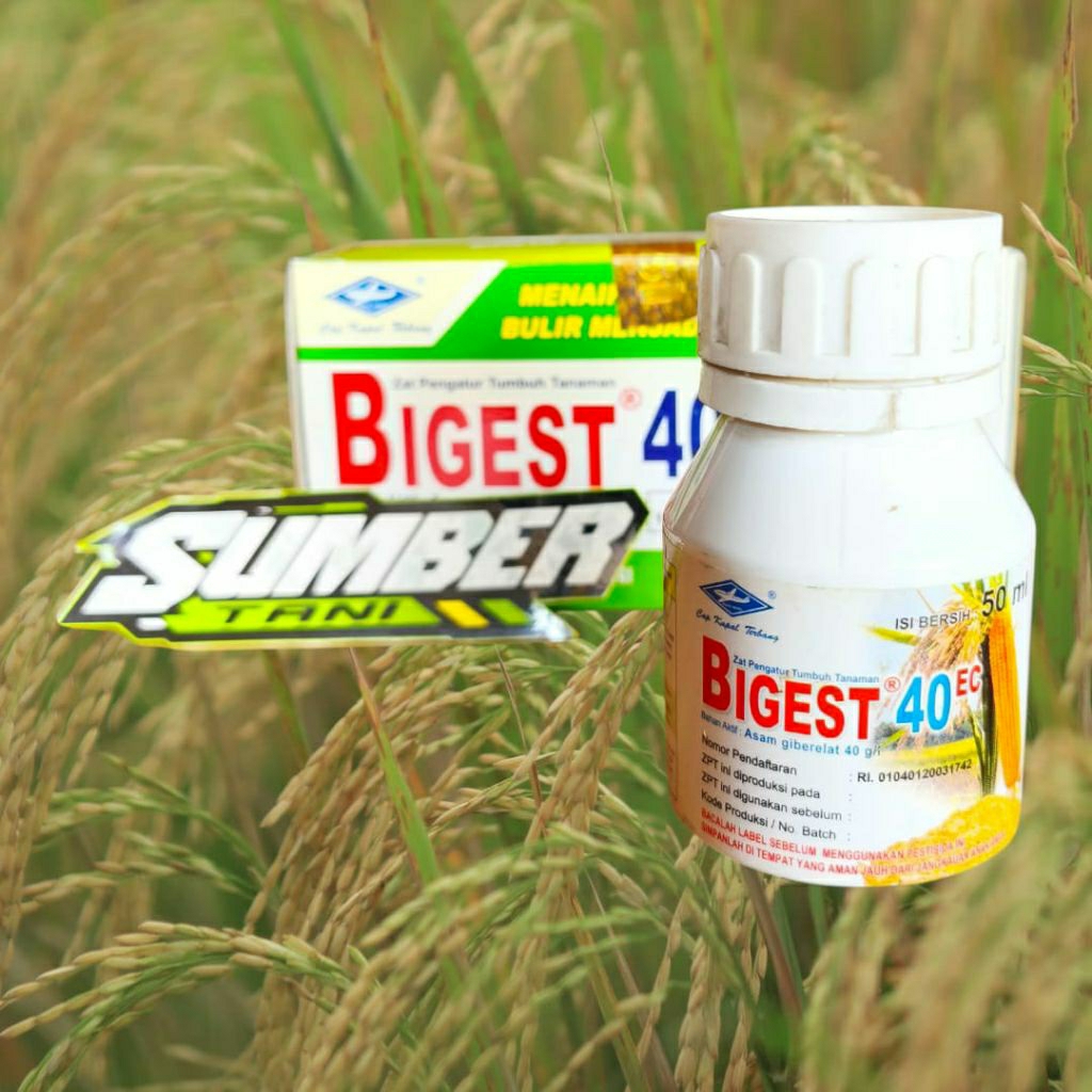 Bigest 40EC 50ml GA3 ZPT Pembesar Buah Bobot Anakan Padi Buah Buahan