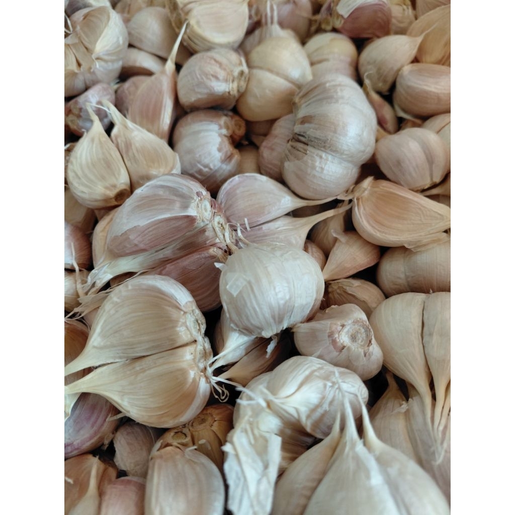 

Bawang putih kating berat 500gram