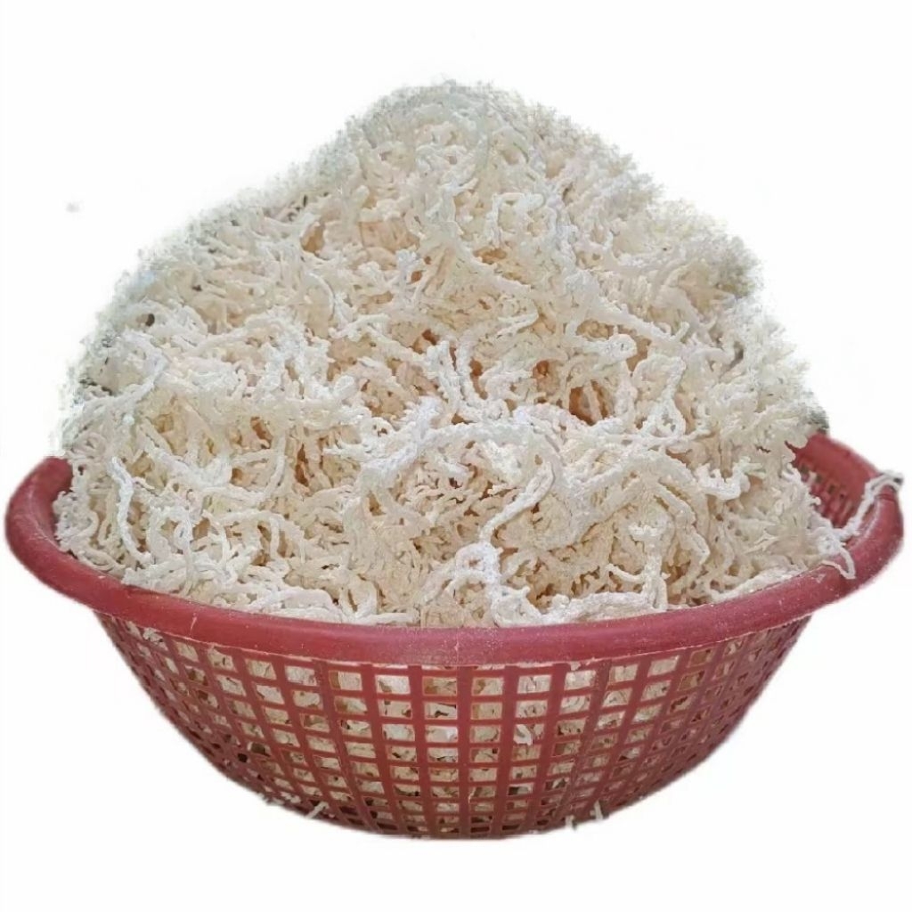 

Rumput Laut 1kg Kering Halal Tidak Asin Rasa Tawar Cocok Untuk Agar-agar Dan Es Buah