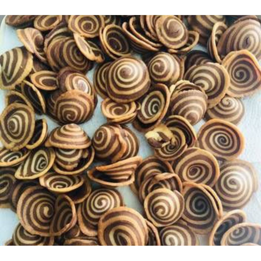 

Kuping Gajah – Camilan Legendaris yang Selalu Bikin Kangen!