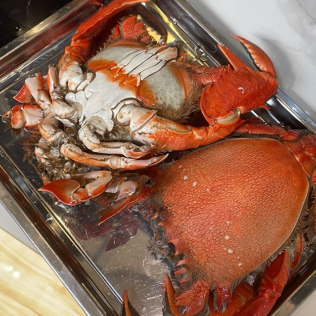 

Spanner Crab Australia Fresh 1KG. Ukuran 250-500gram. Sekilo isi 3-4 ekor