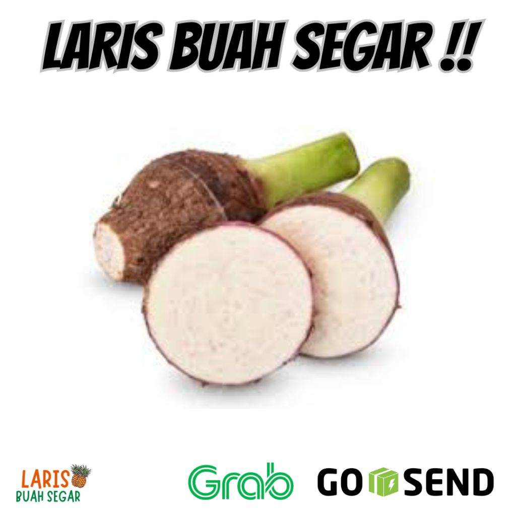 TALAS BOGOR TALAS KETAN TALAS PULEN