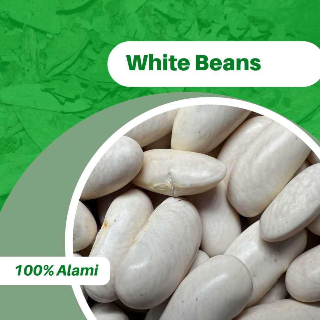 

500GR WHITE BEANS / CANNELINE 100% ASLI