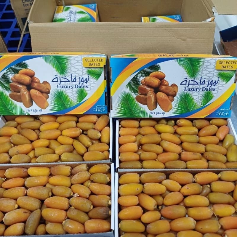 

Kurma Ruthob Libya Alfihri 1 Kg Premium Quality Grab Gojek