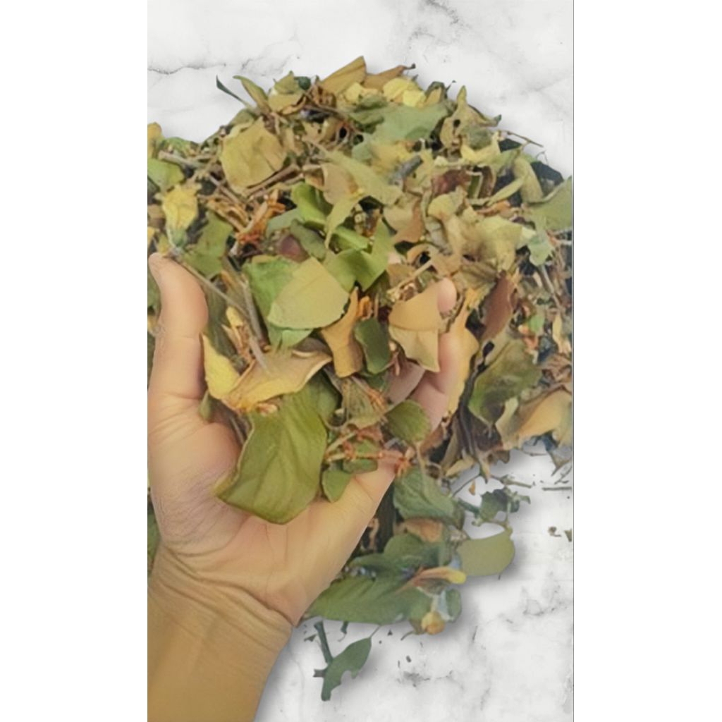 

Benalu Kopi Kering Isi 100 Gram