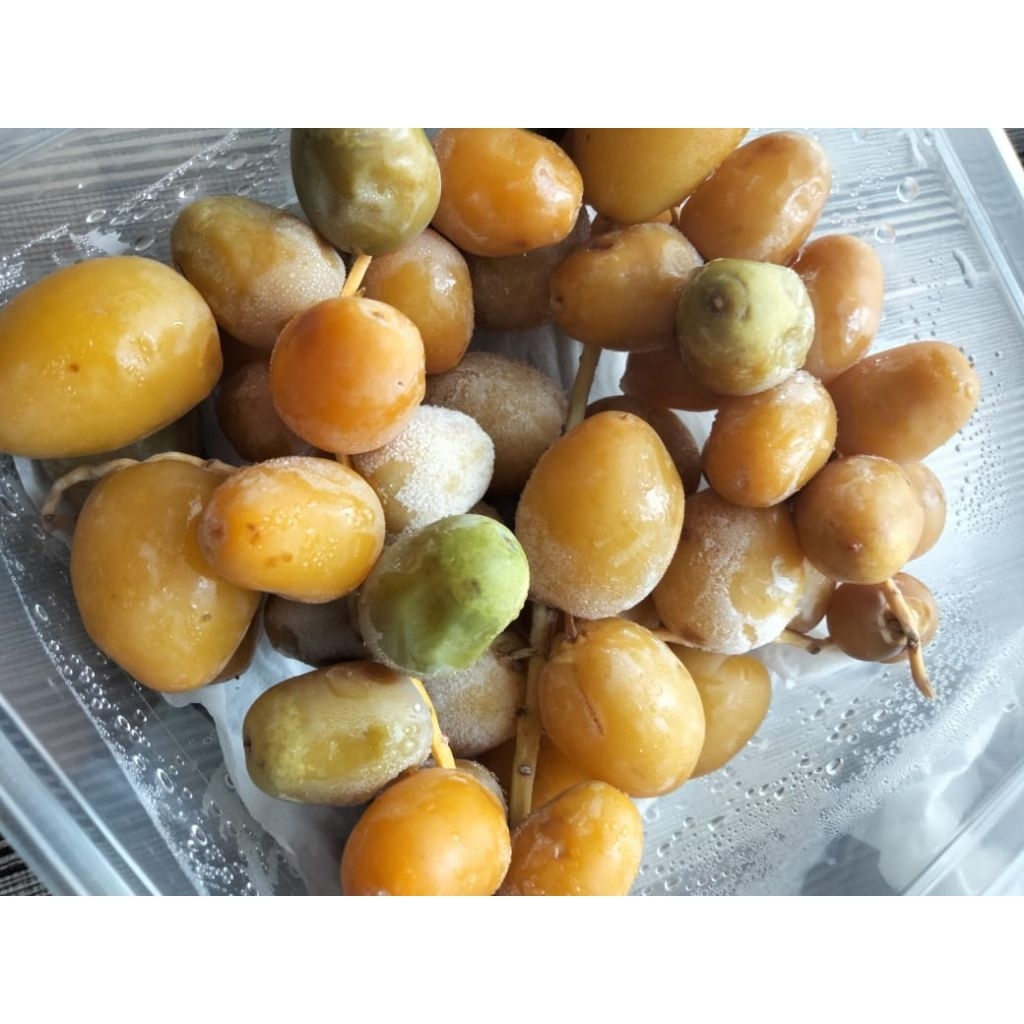 

KURMA MUDA KUNING FROZEN 250 gr