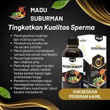 

Madu Suburman Tingkatkan Kualitas Sperma Meningkat, Peluang Program Hamil Lebih Besar 100% Asli