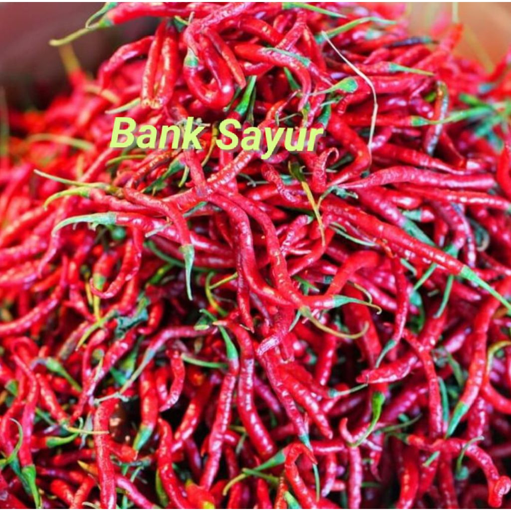 

Cabe / Cabai Merah Kriting